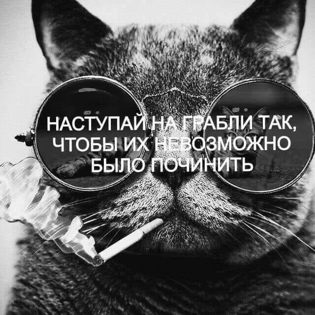 Трудности — это часть Цели. Притча — Искатели